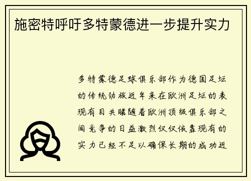 施密特呼吁多特蒙德进一步提升实力